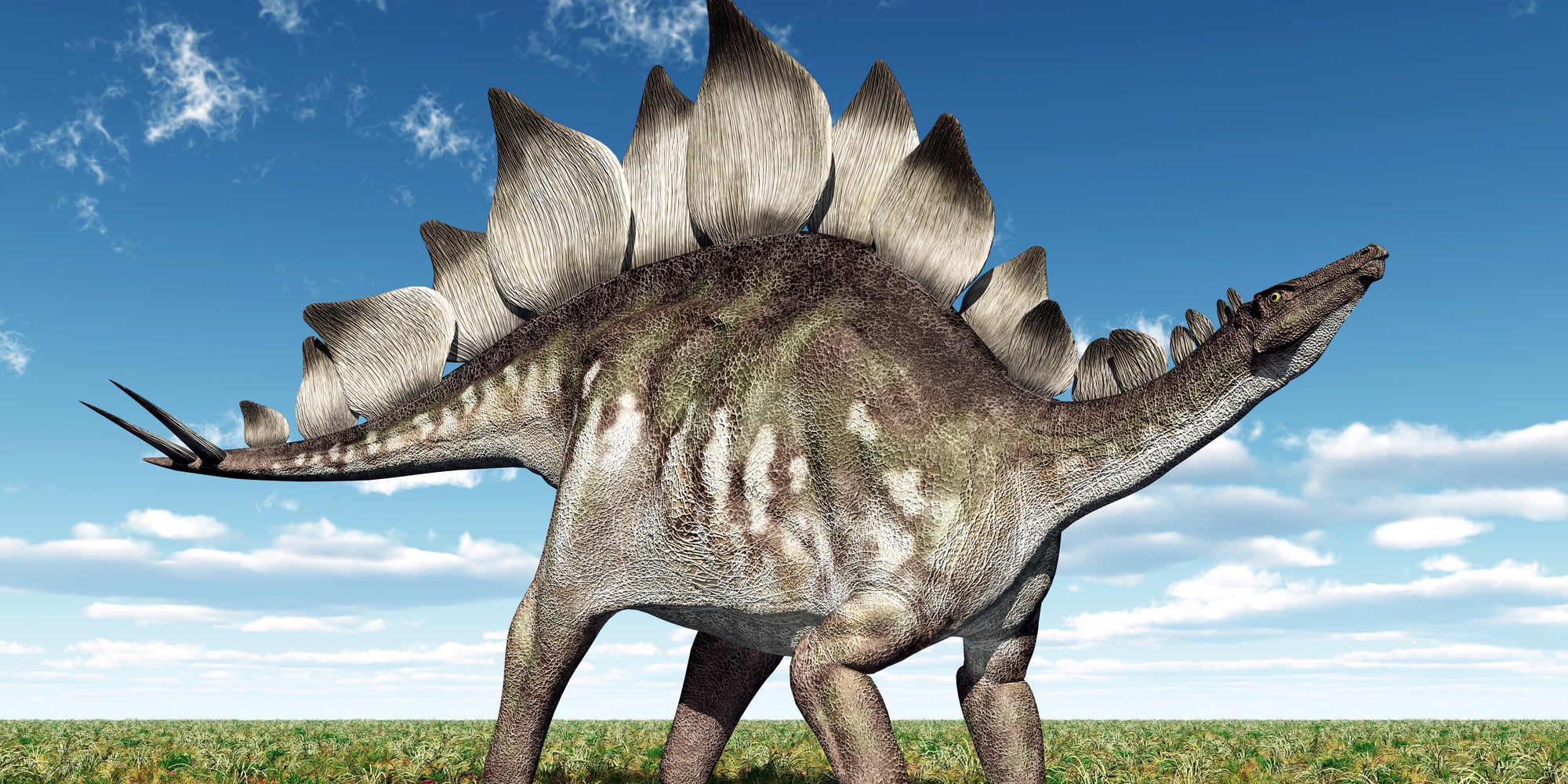 Dinosaurs May Have Originated In The UK, Scientists Say | HuffPost UK