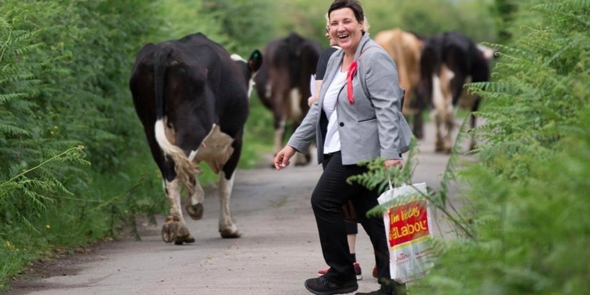 Gower Constituency, South Wales, Could Return To Labour Following Shock 2015 General Election Result - HuffPost UK