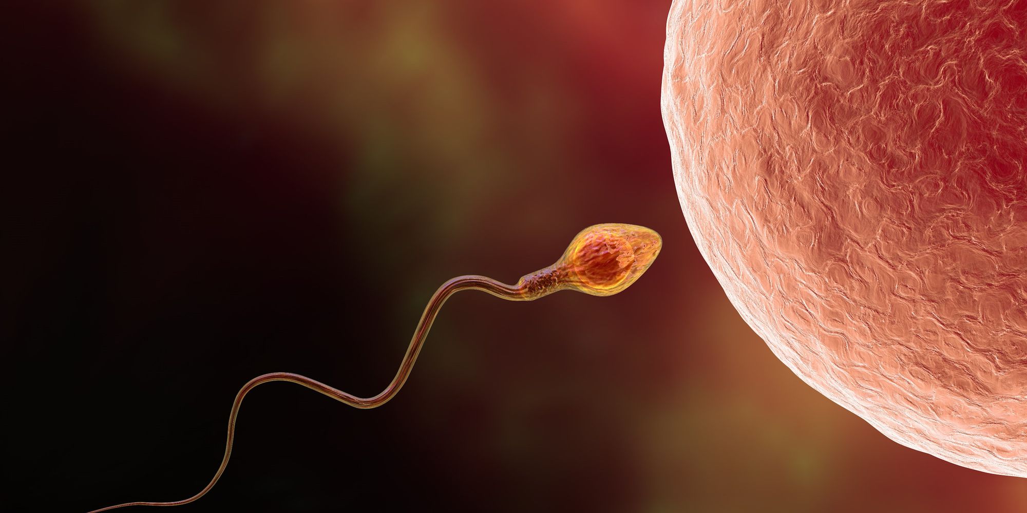 Plummeting Sperm Counts Could Result In Human Extinction Doctor Warns