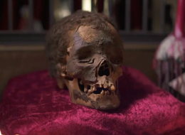 Crowdfunder To Buy Museum A Mummified Head Might Be The Weirdest We've Seen