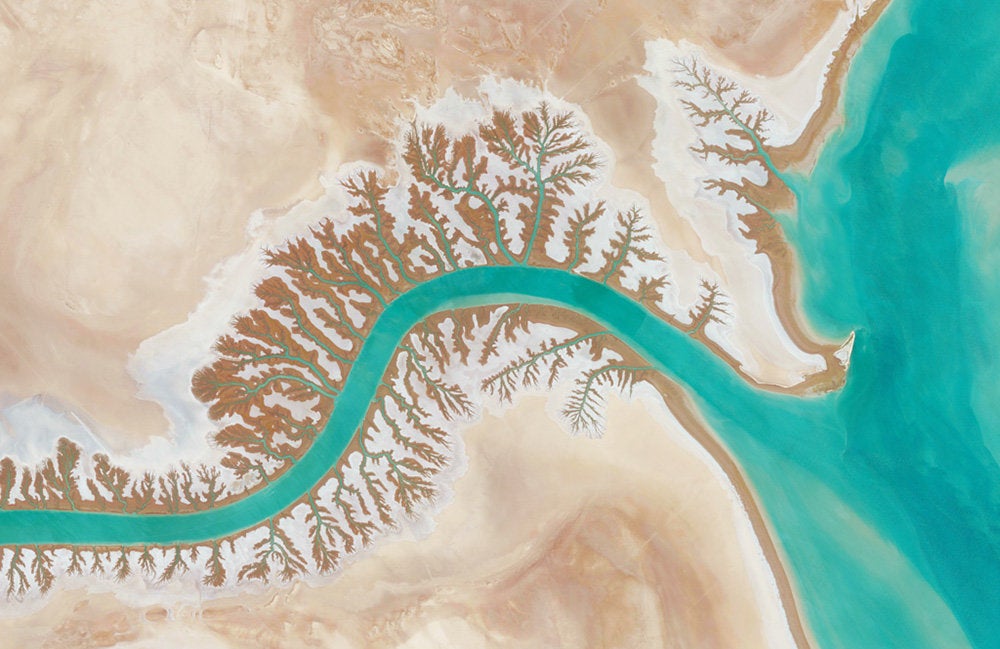 <strong>Shadegan Lagoon</strong><br /><br /> Dendritic drainage systems are seen around the Shadegan Lagoon by Musa Bay in Iran. The word "dendritic" refers to the pools’ resemblance to the branches of a tree, and this pattern develops when streams move across relatively flat and uniform rocks, or over a surface that resists erosion.