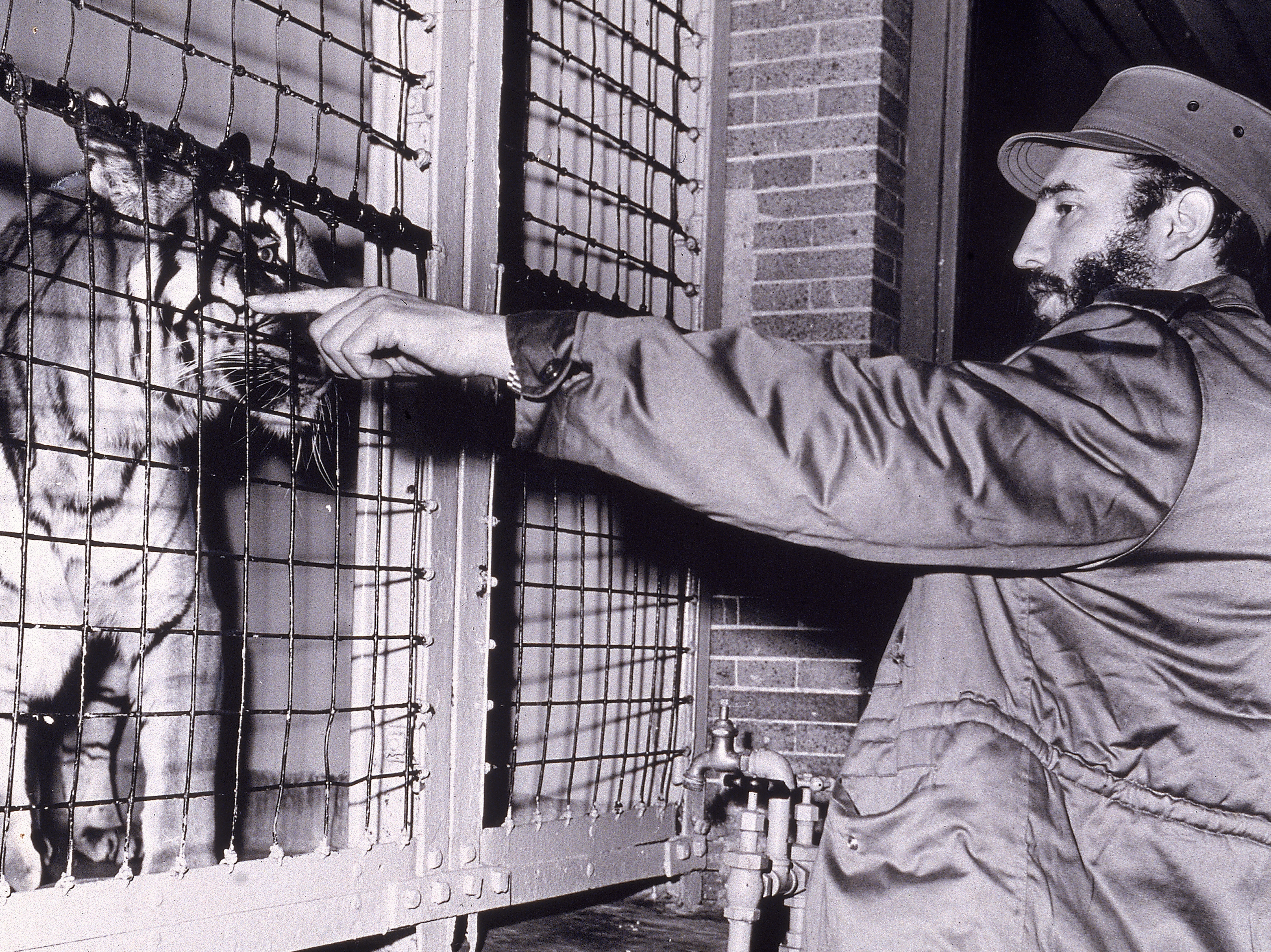 Castro points at a Bengal tiger in a cage at the Bronx Zoo, New York City, on April 24, 1959.