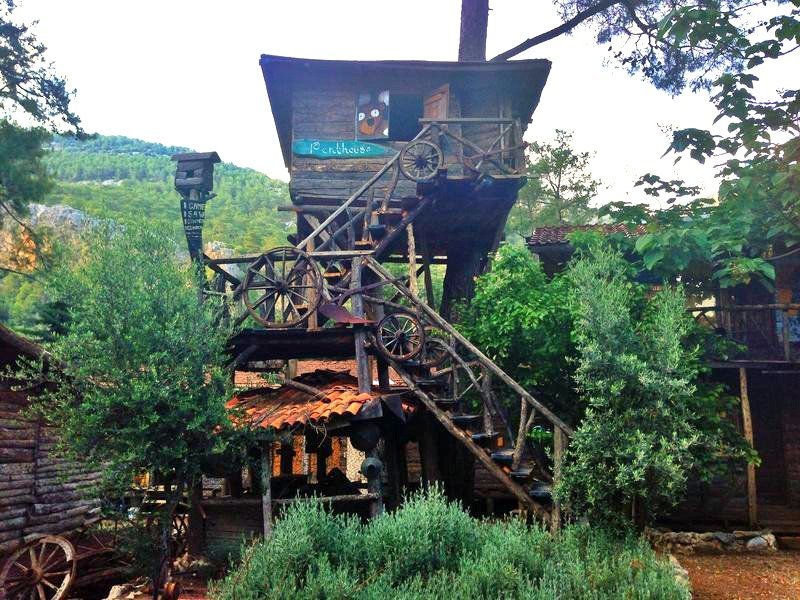 Head to&nbsp;this <a href="http://www.hostelworld.com/hosteldetails.php/Kadir-s-Tree-House/Olympos/798" target="_blank">tree house colony</a> on Turkey's forested&nbsp;<a href="https://www.google.com/maps/place/Kadir's+Tree+House/@36.387554,30.3981659,12z/data=!4m5!3m4!1s0x0:0x1efdaeb4eda408d9!8m2!3d36.387554!4d30.459449" target="_blank">southern coast</a>&nbsp;for boat trips, canoe expeditions and <a href="http://www.kadirstreehouses.com/en/activity/detail-deep-water-solo/23" target="_blank">deep-water rock climbing</a>&nbsp;in the&nbsp;clear blue water. You can stay in a <a href="http://www.kadirstreehouses.com/en/rooms" target="_blank">bungalow</a> instead of a tree house, but don't miss out on the property's three bars and <a href="http://www.kadirstreehouses.com/en/restaurant" target="_blank">Pizza House</a>, open till 4 a.m. nightly. <i>$9 and up.</i>