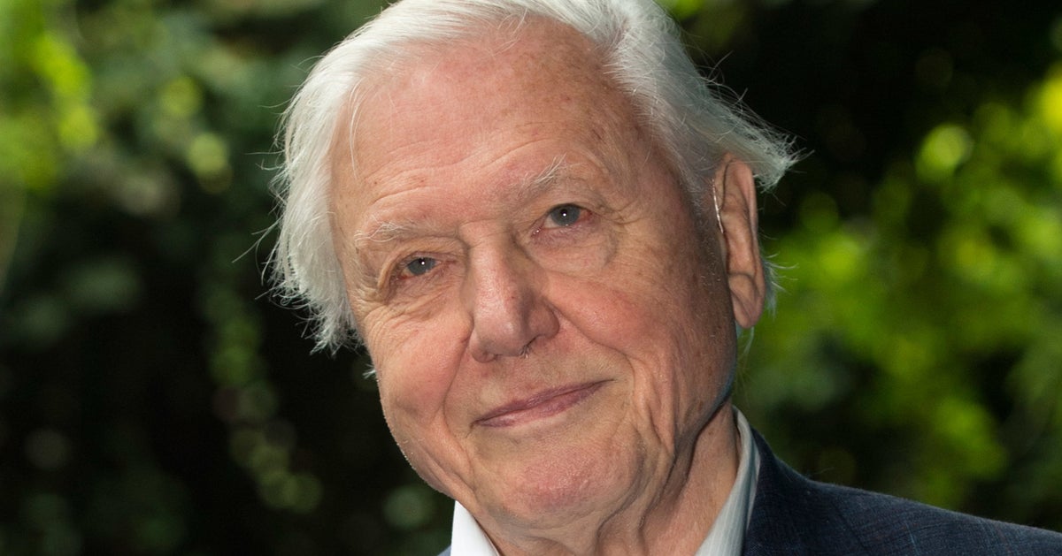 david attenborough david attenborough