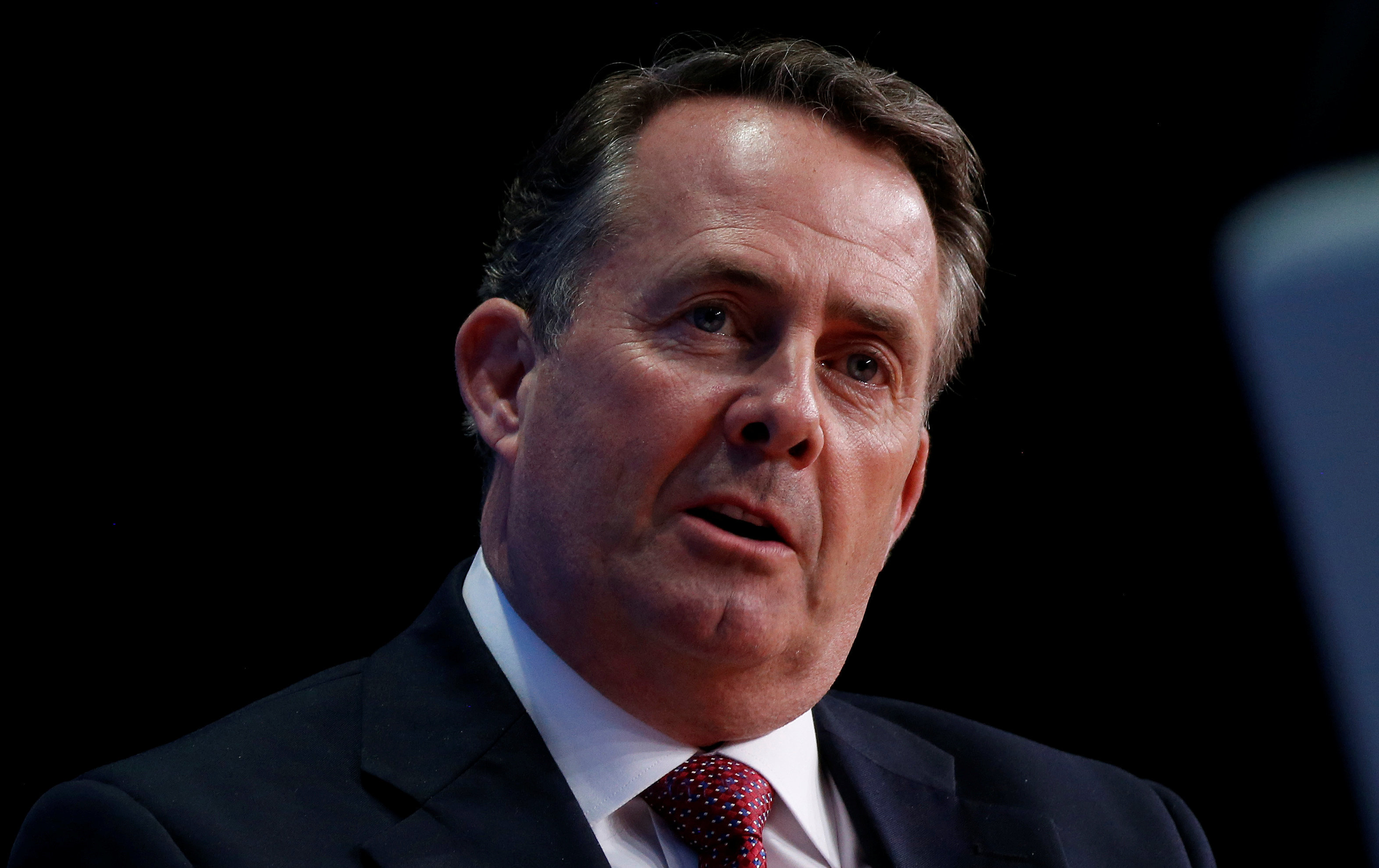 <strong>Secretary of State for International Trade Liam Fox&nbsp;</strong>