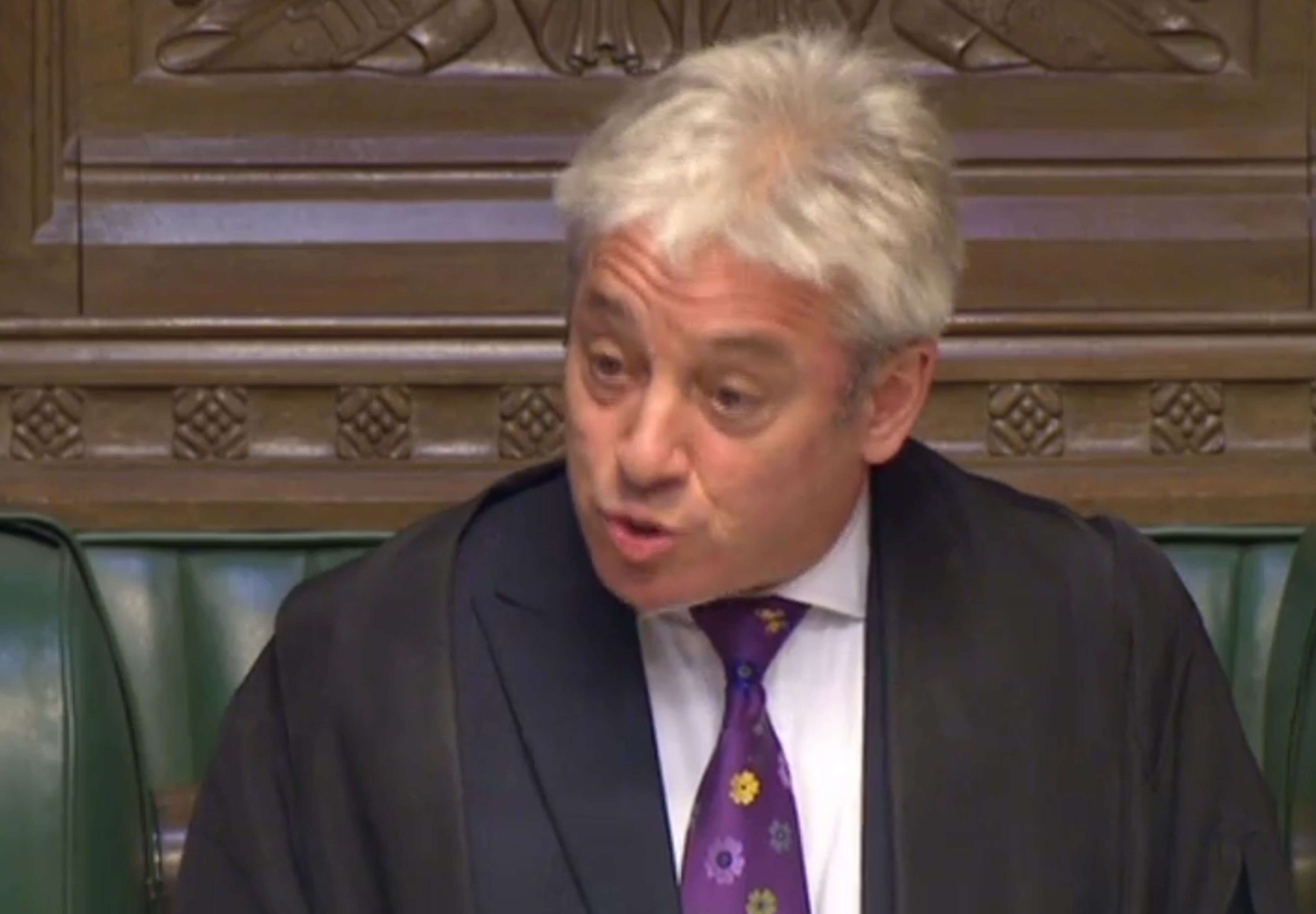 Commons Speaker John Bercow.