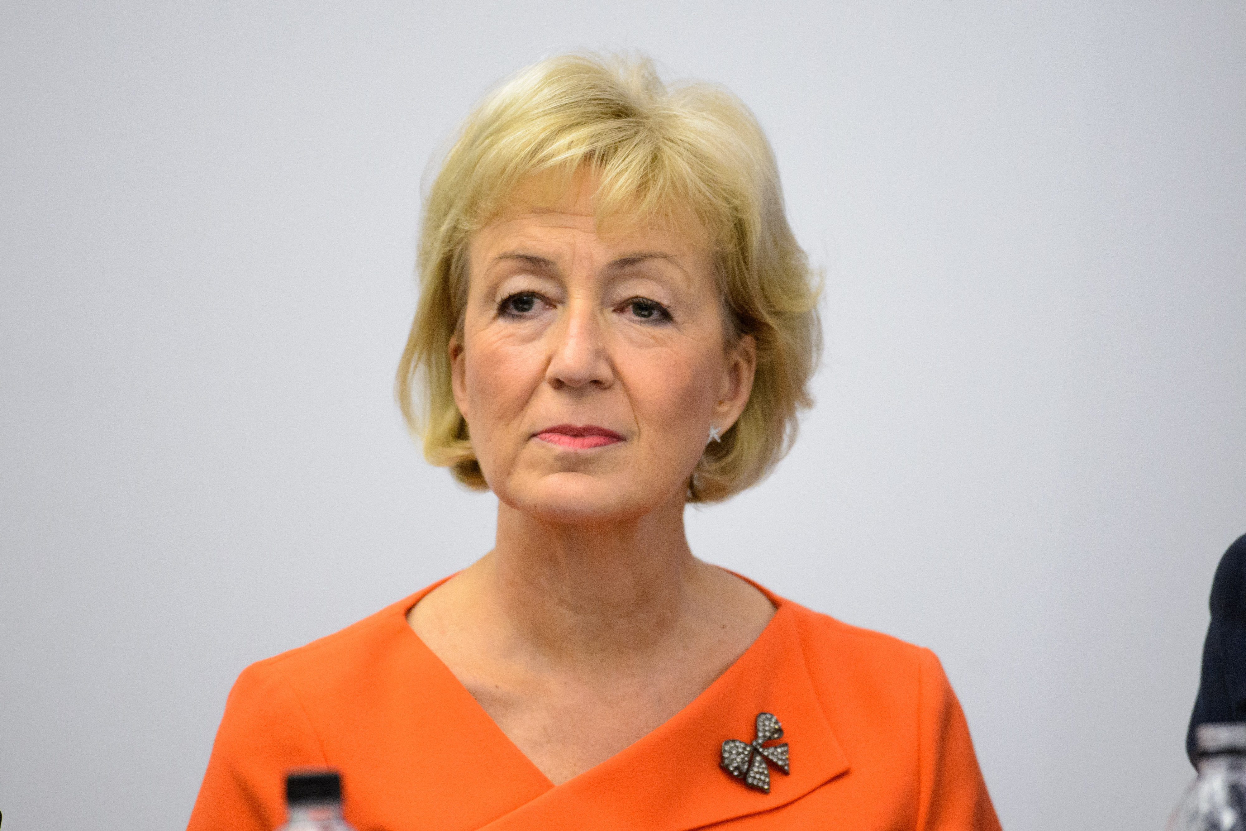 Andrea Leadsom said the issue of harassment was being taken "extremely seriously".