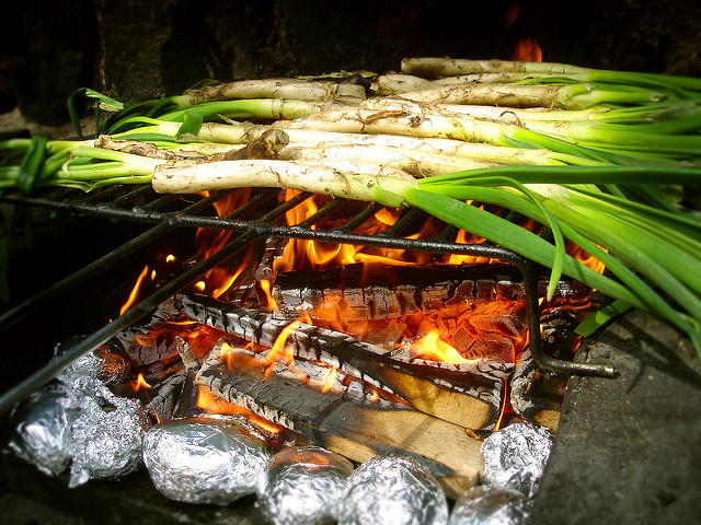 Calçots cooking on a wood fire. Licensed under <a href="https://www.flickr.com/photos/niputaidea/4470568944/">CC BY-SA 2.0</a>.