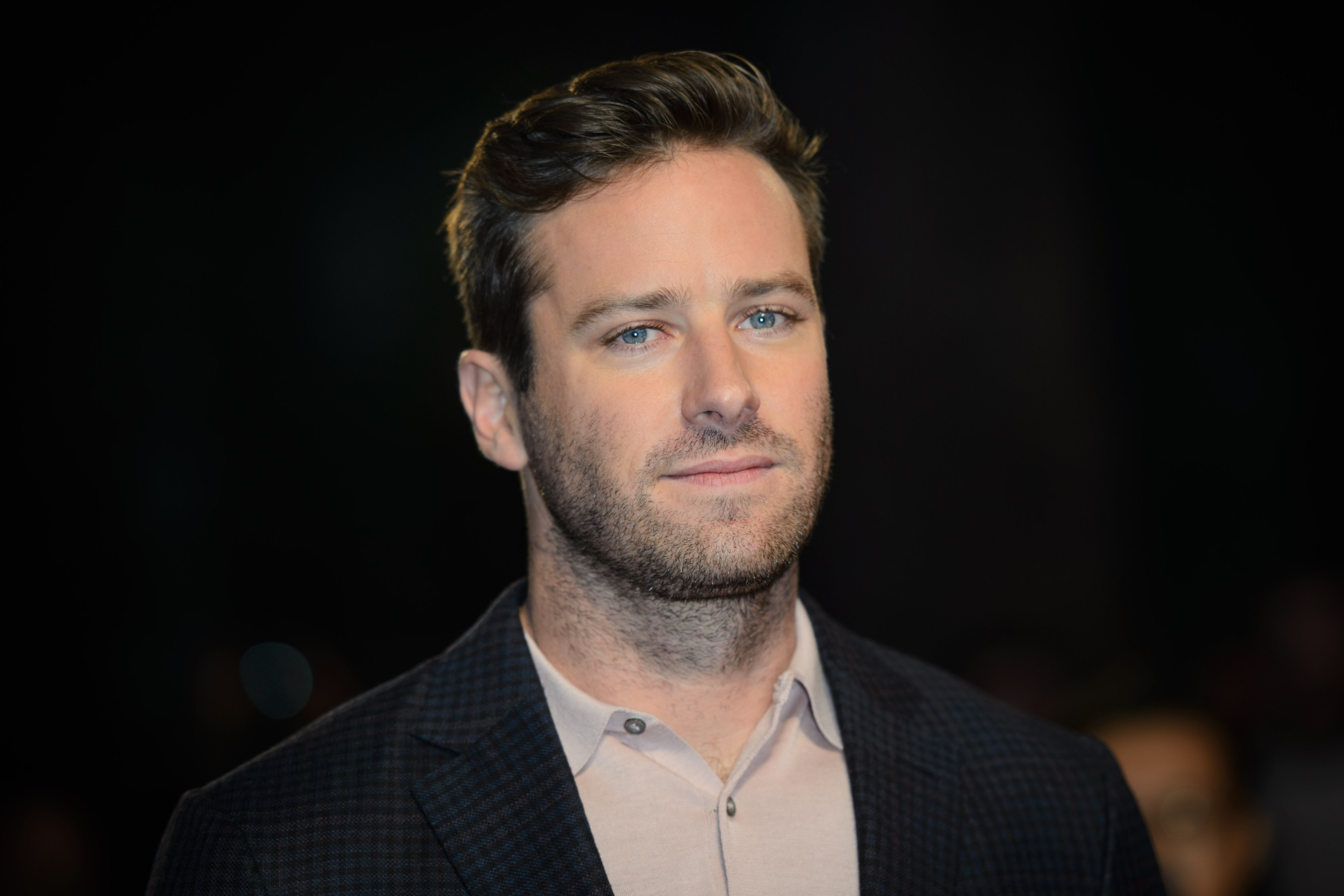 <strong>Armie Hammer</strong>