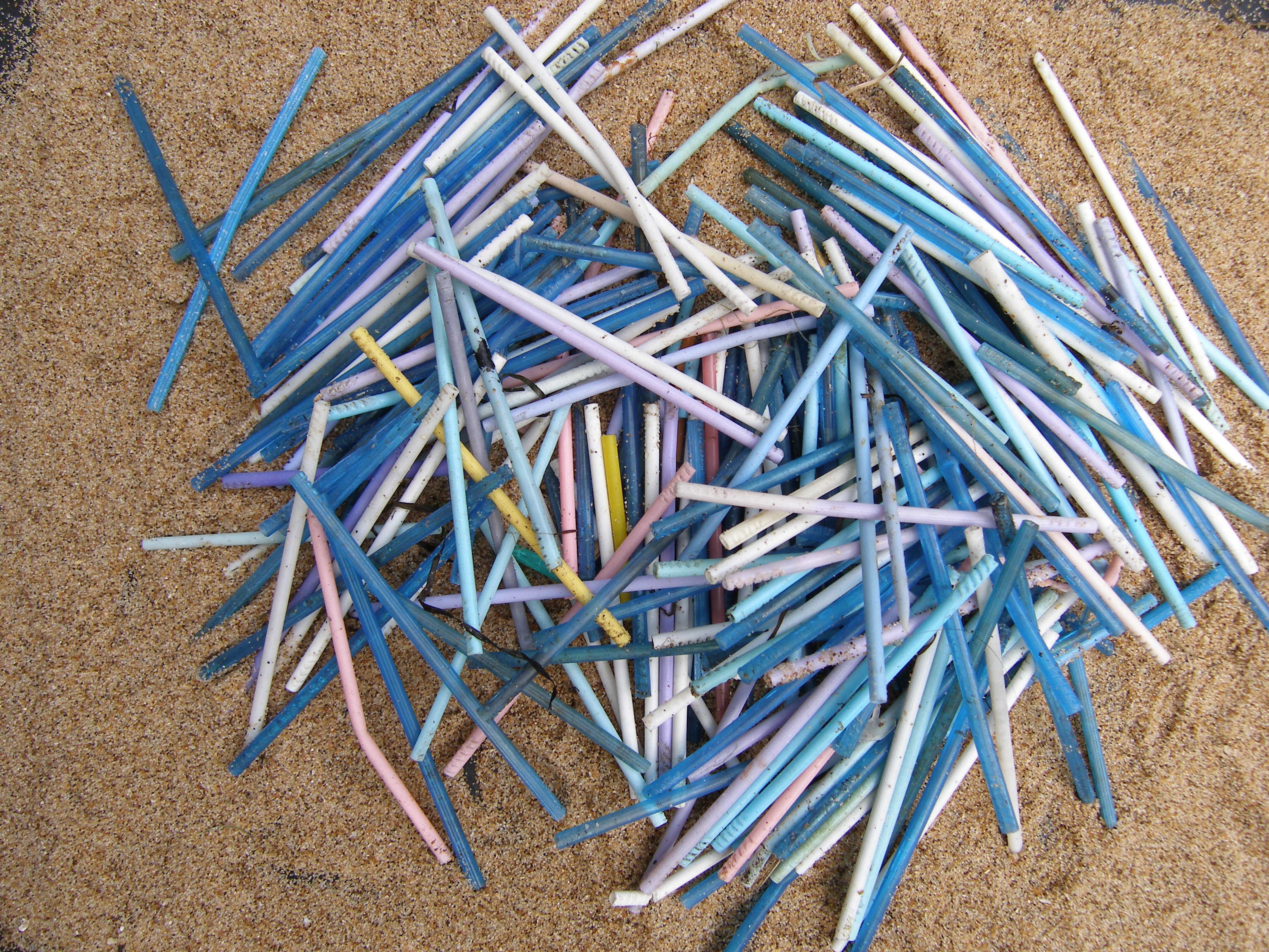 <strong>Cotton bud sticks.</strong>