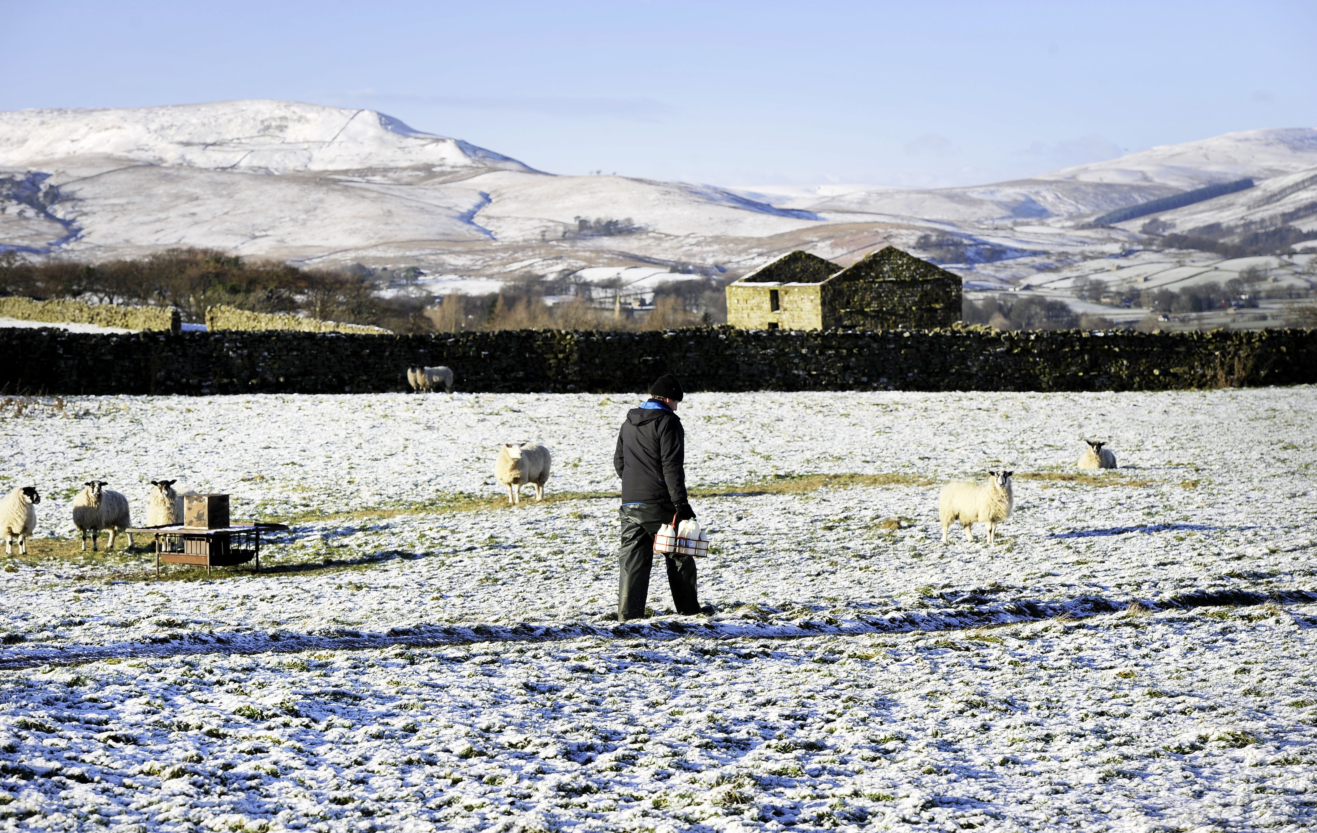 A milkman for Dales Dairies makes his deliveries int he Hawes area of the Yorkshire Dales on Friday morning