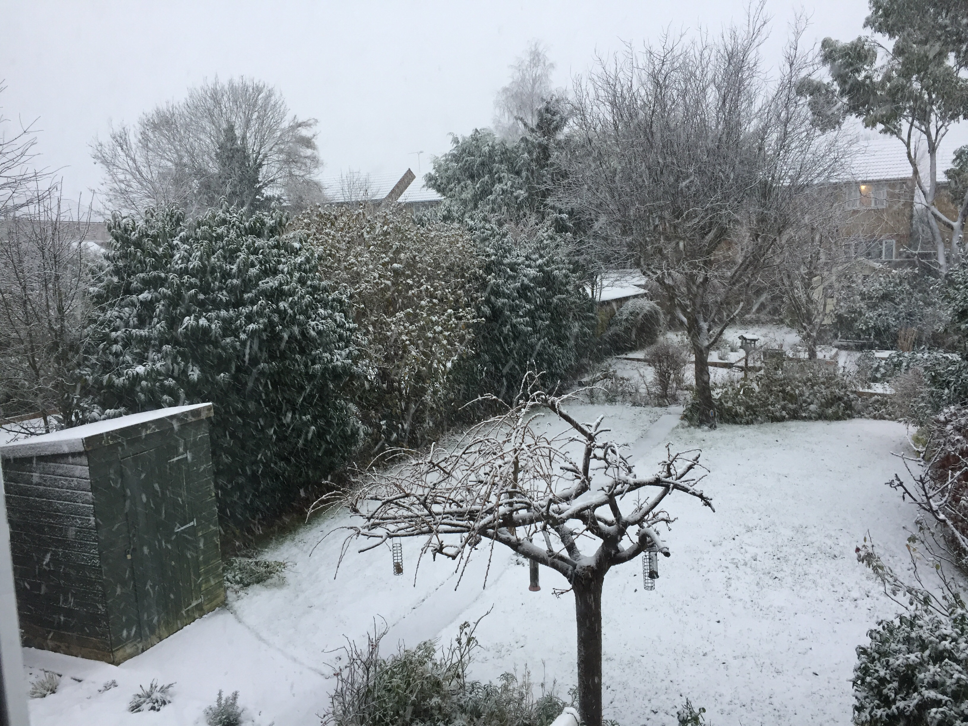 <strong>A light fall of snow was seen near the Hertfordshire-Essex border on Sunday</strong>