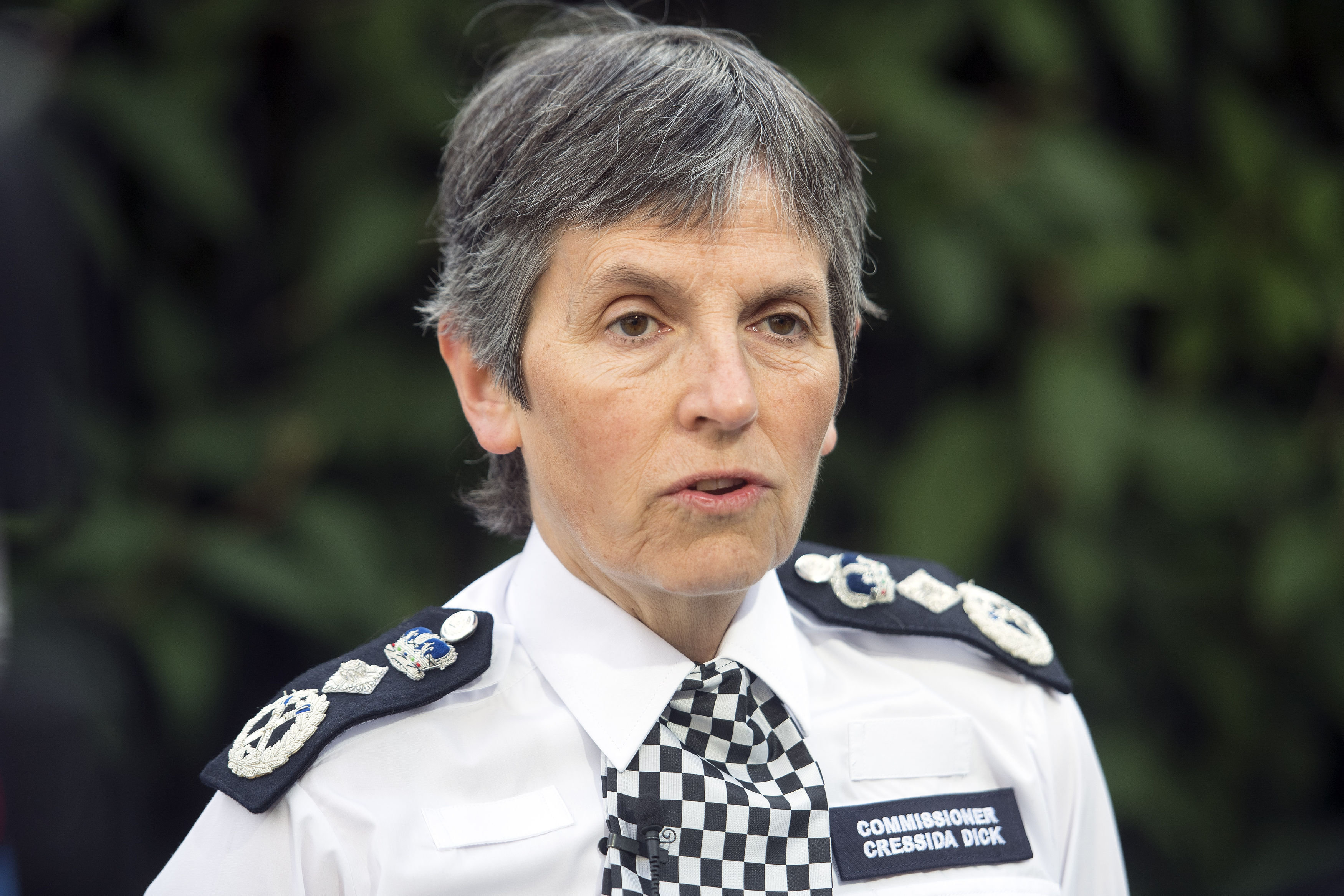 <strong>Met Police Commissioner Cressida Dick has said that the criminal investigation is likely to last at least 12 months.</strong>