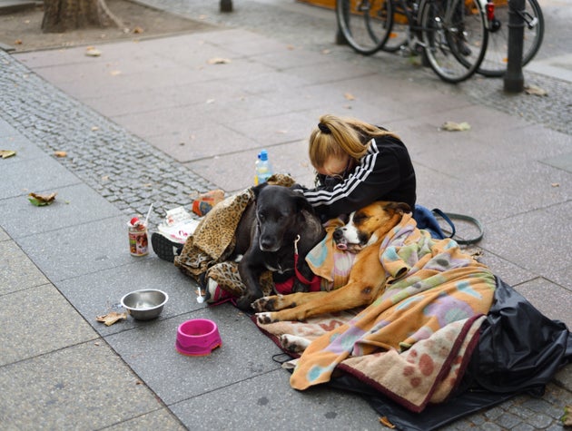 Hunde dating berlin