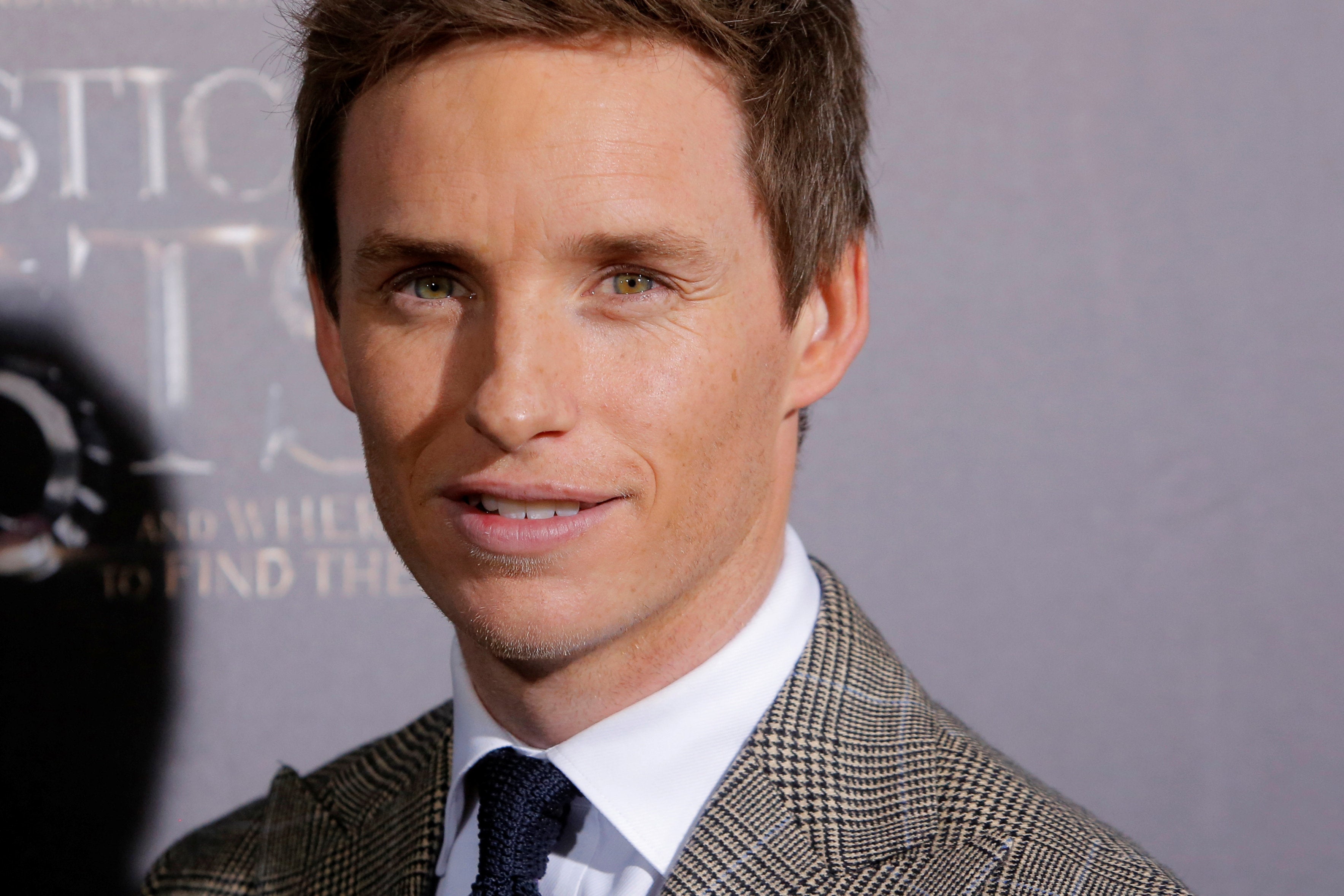 <strong>Eddie Redmayne </strong>