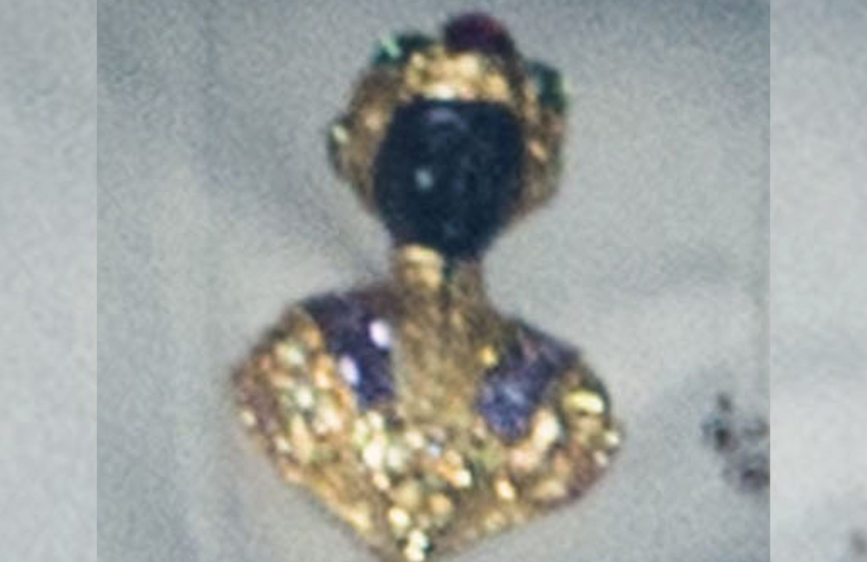 <strong>The brooch worn by Princess Michael on Wednesday</strong>