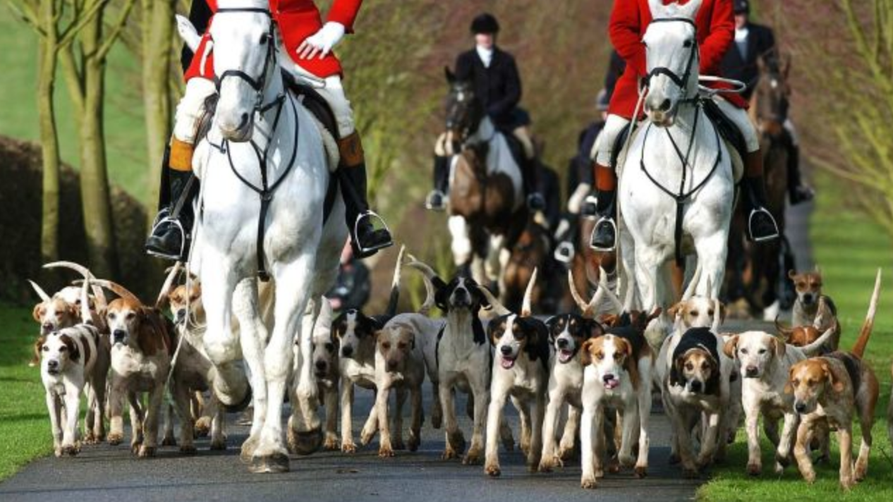 <strong>Theresa May set to 'abandon free vote pledge on fox hunting ban'</strong>