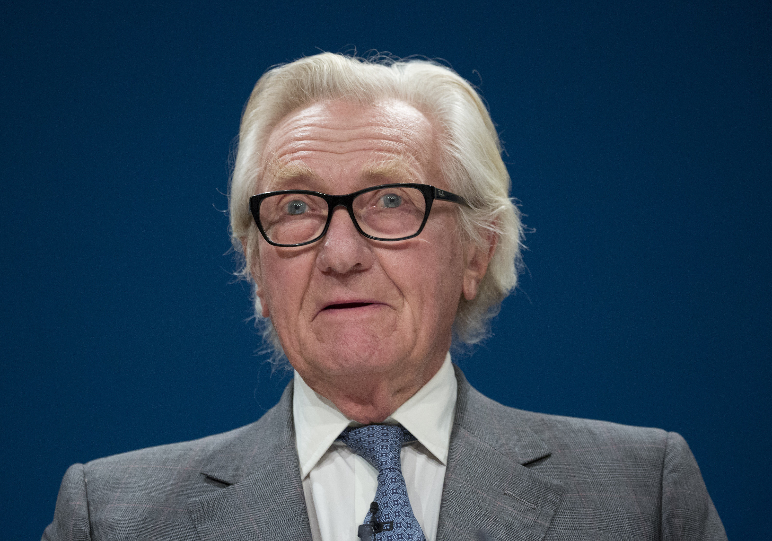 <strong>Lord Heseltine said unlike a Labour government,&nbsp;Brexit is "not short-term and is not easily capable of rectification".</strong>