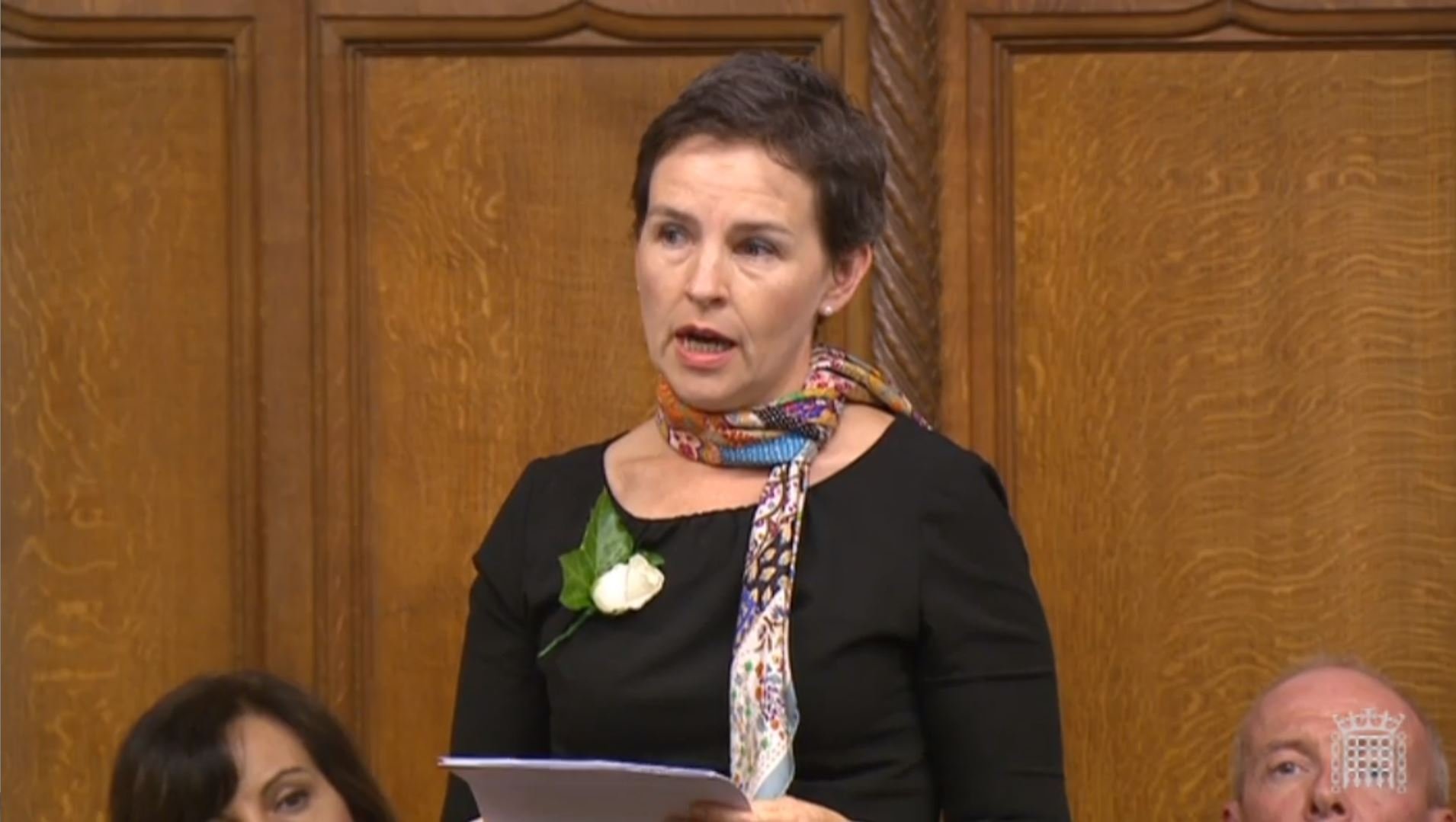 <strong>Labour MP and environment committee chair Mary Creagh: 'The effects of air pollution tend to be magnified in poorer groups'</strong>