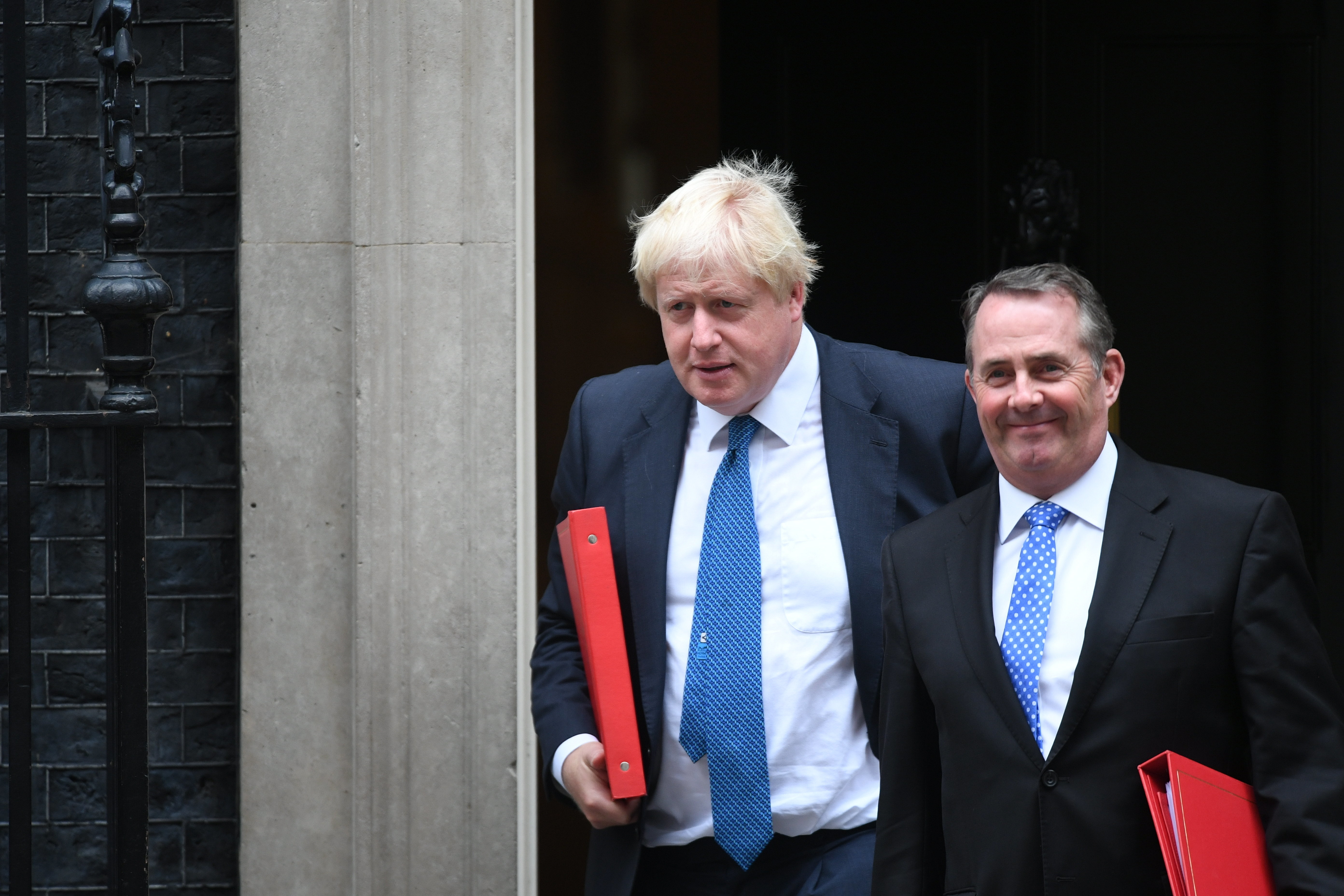 <strong>Two Brexiteers: Boris Johnson and Liam Fox were prominent voices in the Vote Leave campaign&nbsp;</strong>