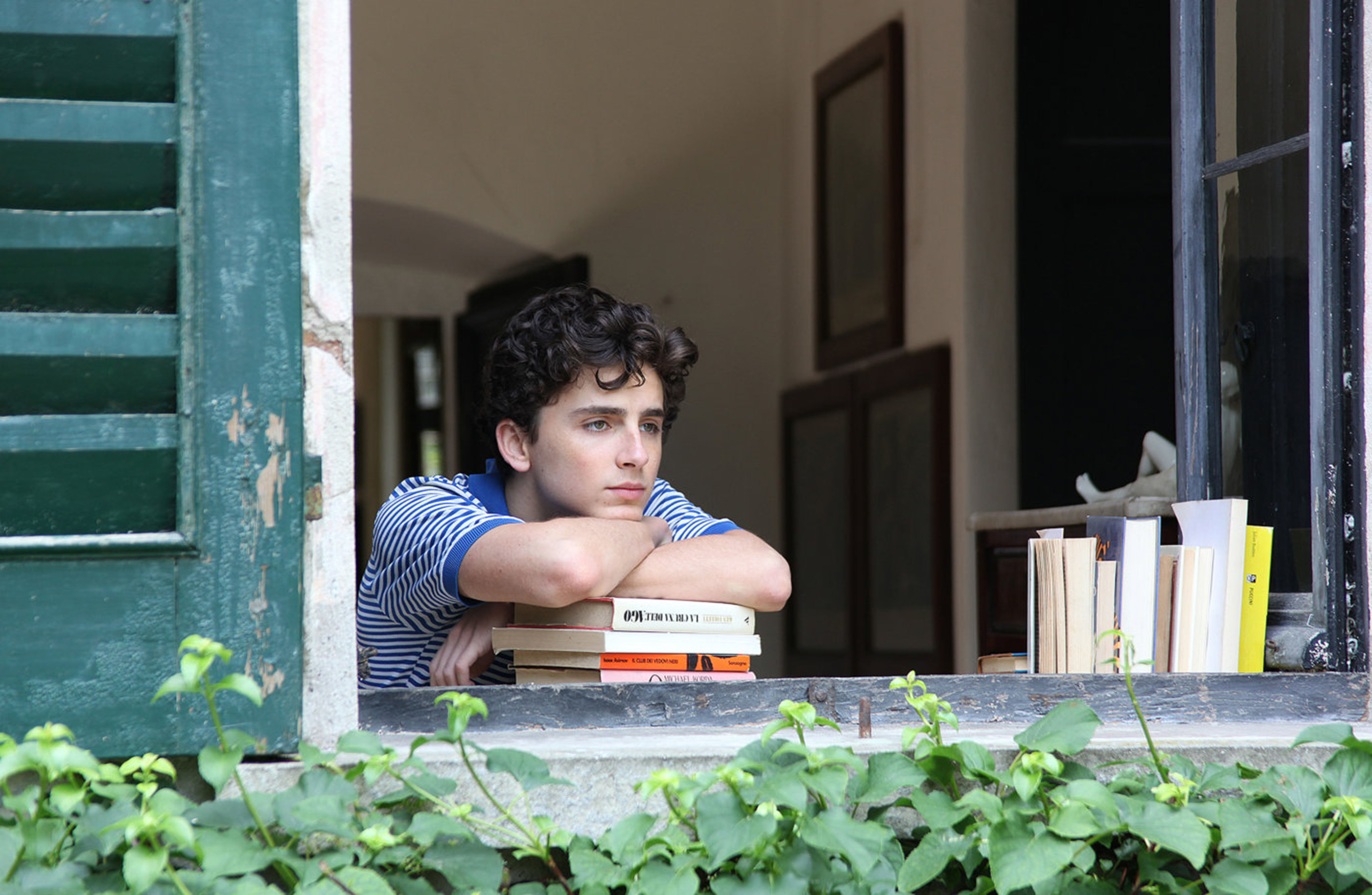 <strong>Timoth&eacute;e Chalamet as Elio</strong>