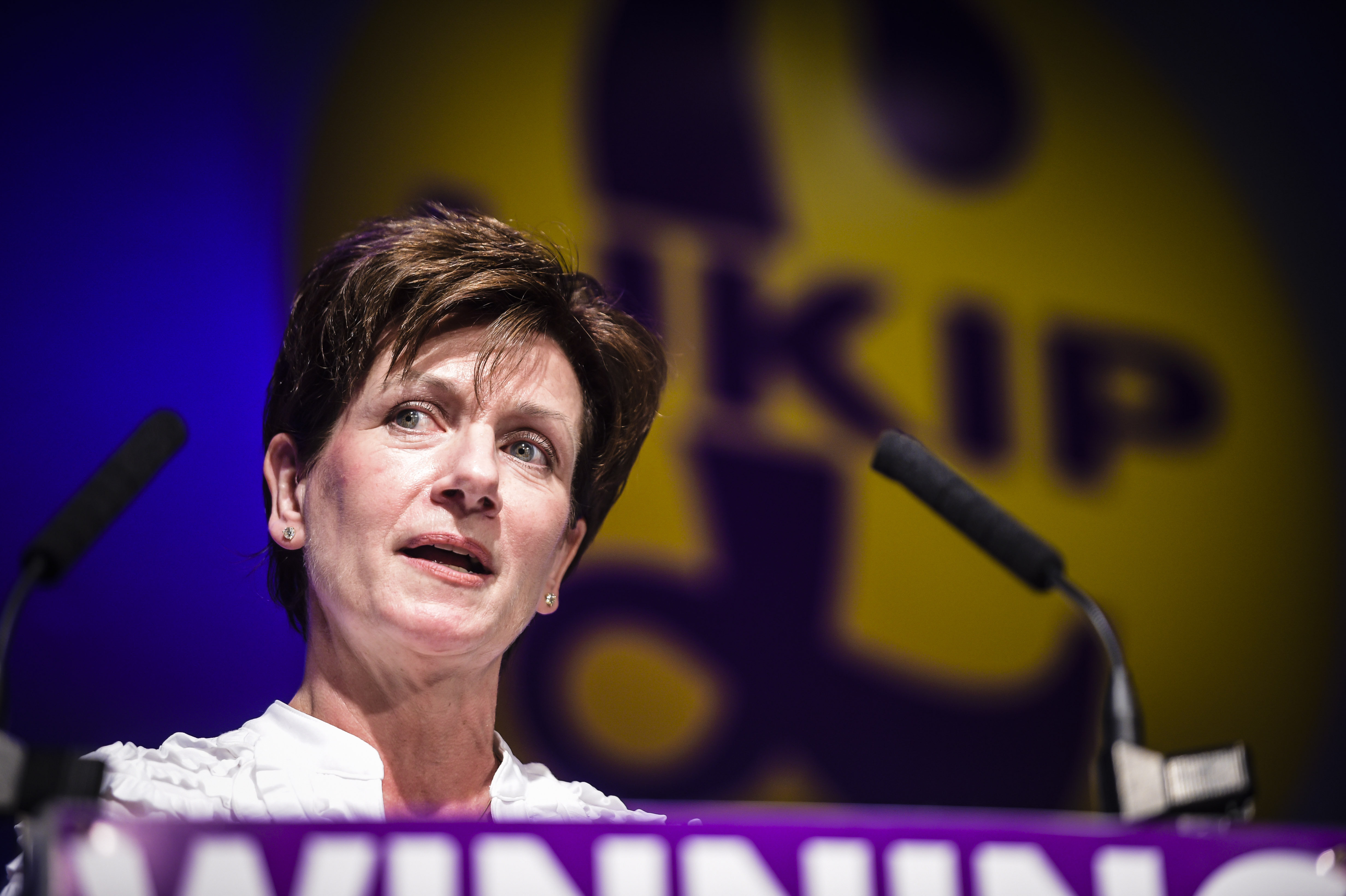 <i>Diane James stood down as Ukip leader after 18 days, claiming the NEC frustrated her attempts at party reform.</i>