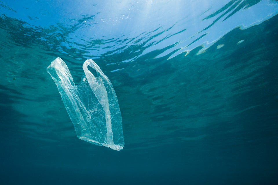 A plastic bag floats in the ocean near Indonesia.
