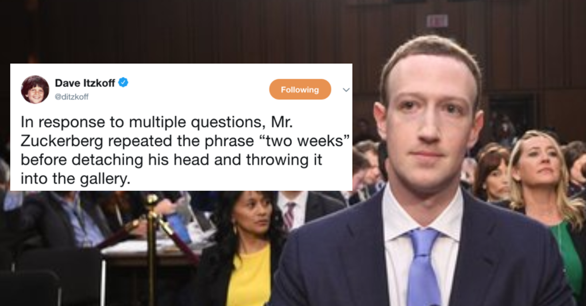 the internets best memes and reactions to the zuckerberg