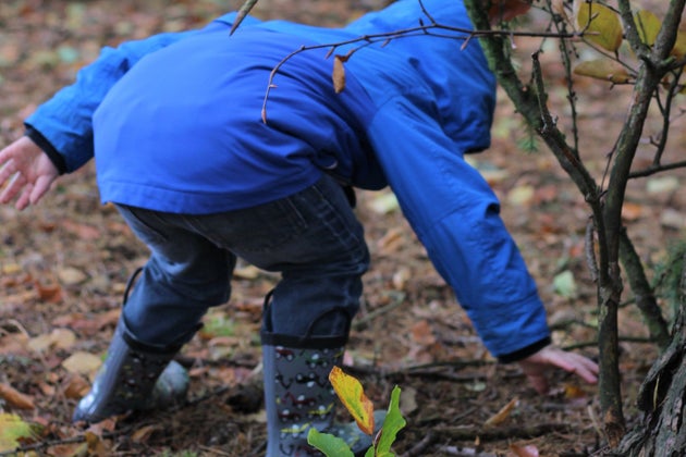 Children will be encouraged to climb trees, build dens, play games, sing songs, explore habitats.