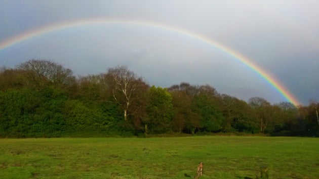 Sutton Park.