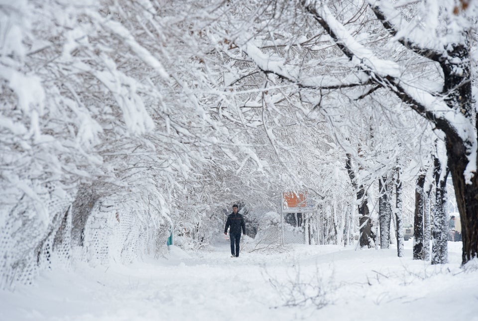 An Afghan man walks along a path under snow-laden trees in Kabul on Feb. 5, 2017.