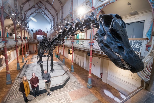 People look on at Dippy the dinosaur, a diplodocus skeleton on loan from the Natural History Museum at it is unveiled at Dorset County Museum on the first stage of an eight-stop tour of the UK on February 9, 2018 in Dorchester, Dorset.