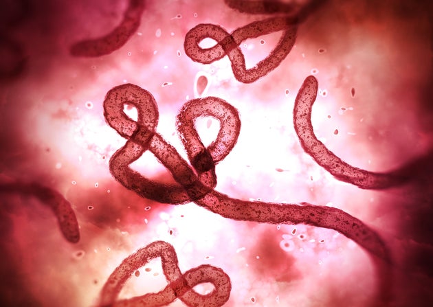 Global health experts worried that the Trump administration was not prioritizing the fight against infectious diseases like Ebola.