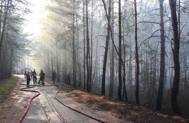 Firefighters tackle a forest fire near Potsdam, Germany, on July 26, 2018.
