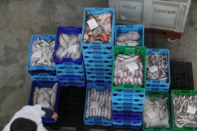 Cajas de pescado en la lonja de Santa Pola.