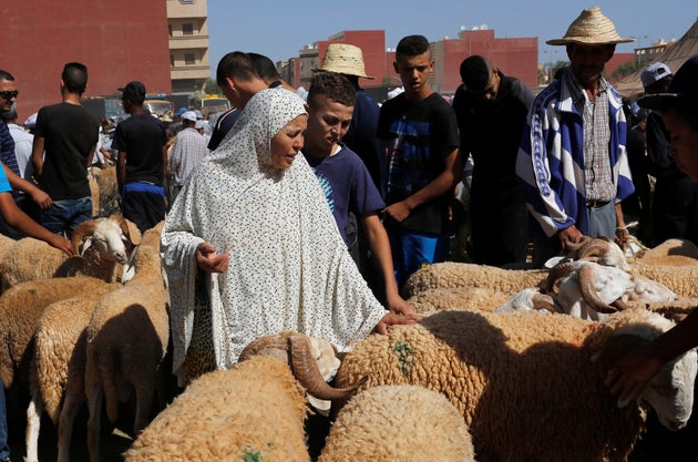 Une femme achète un mouton sur un marché au bétail, avant l'Aïd al-Adha, dans la ville marocaine d'Oujda le 11 septembre 2016.