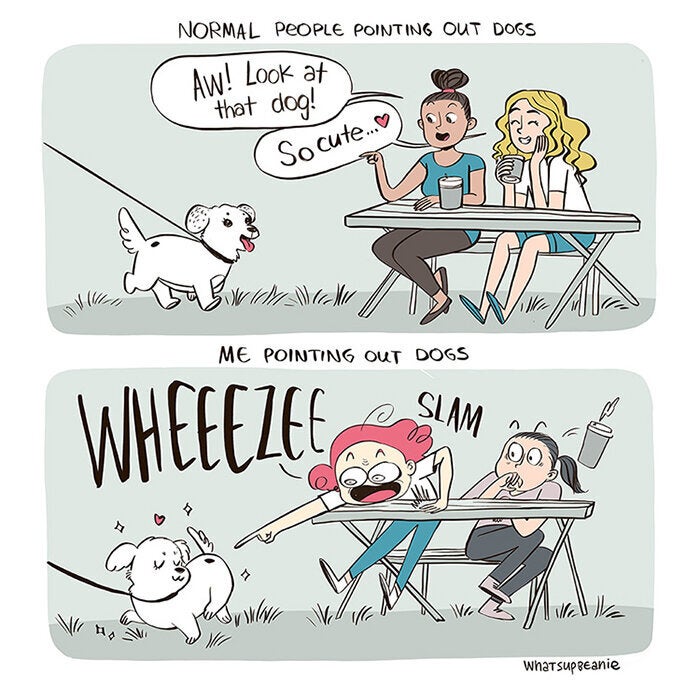 Pointing Out Dogs