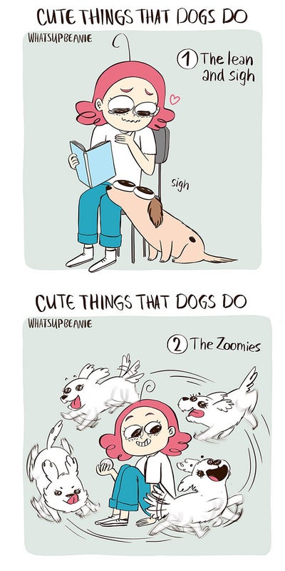 Cute Things That Dogs Do