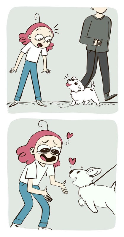 When a Cute Dog Passes Me By On The Street