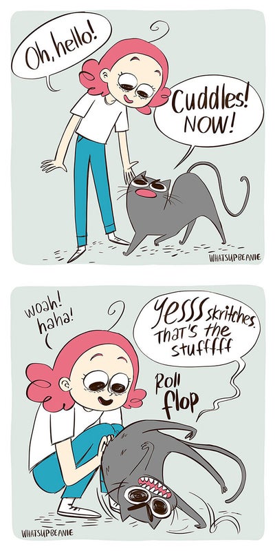 Cats Are Mysterious Cuddly Creatures