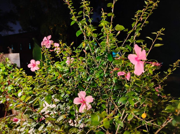 An outdoor shot taken in low light