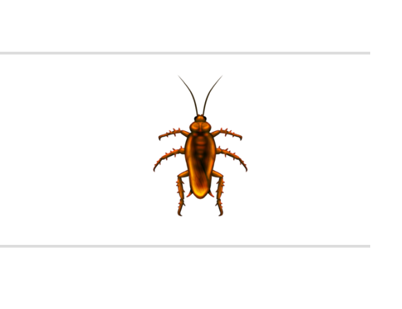 Nadie se merece que le mandes una cucaracha tan desagradable