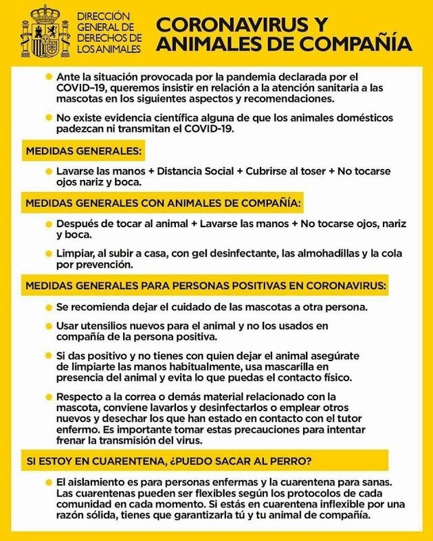 Indicaciones generales desde la Dirección General de Derechos de los Animales.