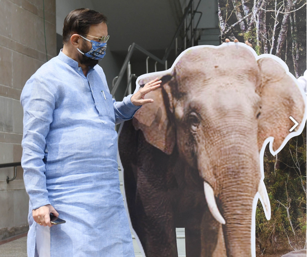 Union environment minister Prakash Javadekar with a cardboard elephant at a ceremony to mark the World Elephant Day 2020.