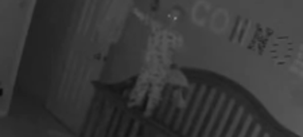 Hey, Rosemary, We Found Your Baby!