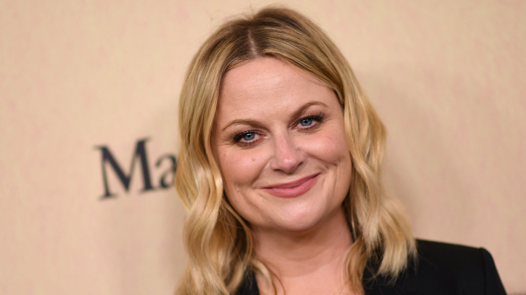 Sorry, The Amy Poehler Look-Alike Who Squirted Vaginal Fluid At Cops Is Fake - Sorry, The Amy Poehler Look-Alike Who Squirted Vaginal Fluid At Cops Is Fake