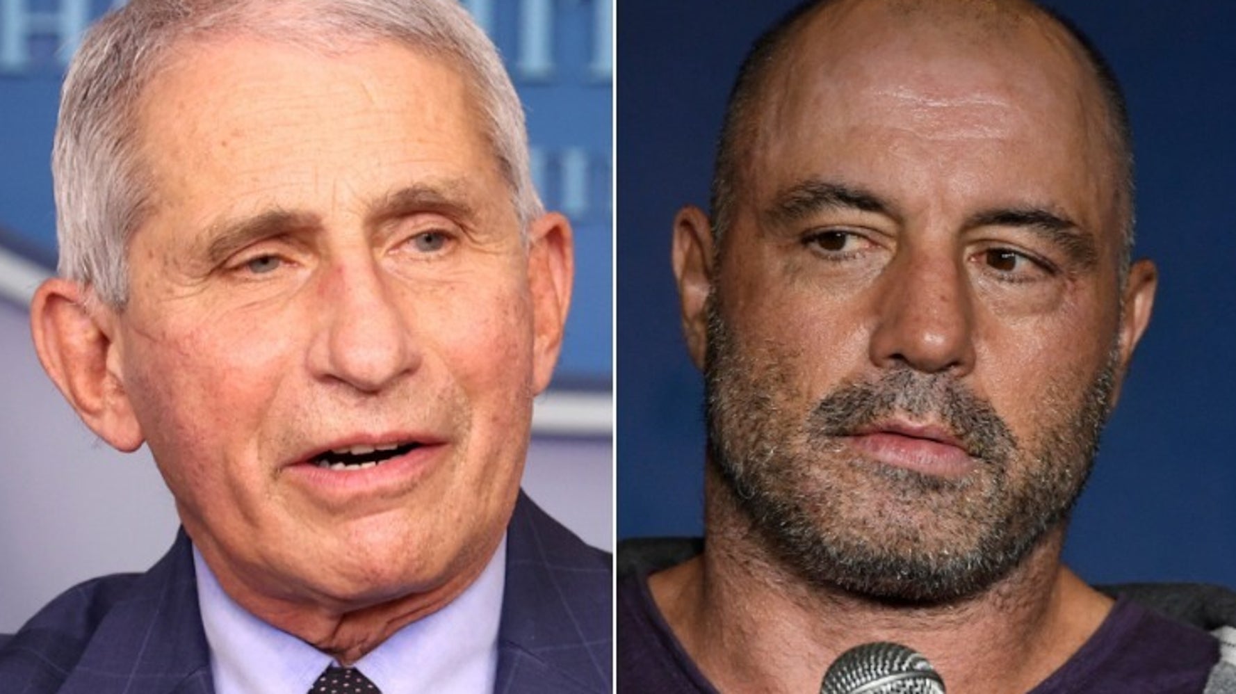 'That's Incorrect': Fauci Dismantles Joe Rogan's False And Selfish Vaccination Advice - 'That's Incorrect': Fauci Dismantles Joe Rogan's False And Selfish Vaccination Advice