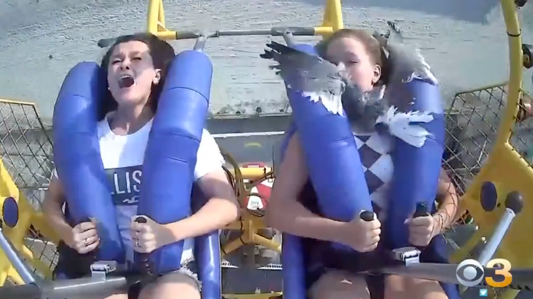 Girl Meets Gull At New Jersey Amusement Park - amusement park Girl Meets Gull At New Jersey Amusement Park