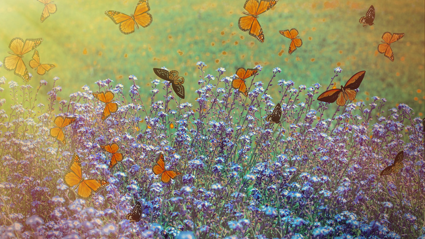 Texas Butterfly Sanctuary Closes Due To 'Credible Threats' From Pro-Trump Event - Breaking News Texas Butterfly Sanctuary Closes Due To 'Credible Threats' From Pro-Trump Event
