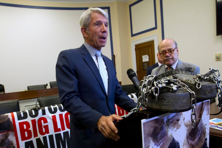 2022 Midterms: 5 States Hold U.S. House Primaries Today - 2022 election Rep. Kurt Schrader, a seven-term congressman, will face off against progressive challenger Jamie McLeod-Skinner, who has the backing of the local Democratic parties in all four counties covered by the seat.